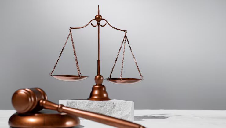 Why Does Public Interest Litigation Take So Long?